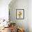 Golden Gerbera-Albert Koetsier-Framed Premium Giclee Print displayed on a wall