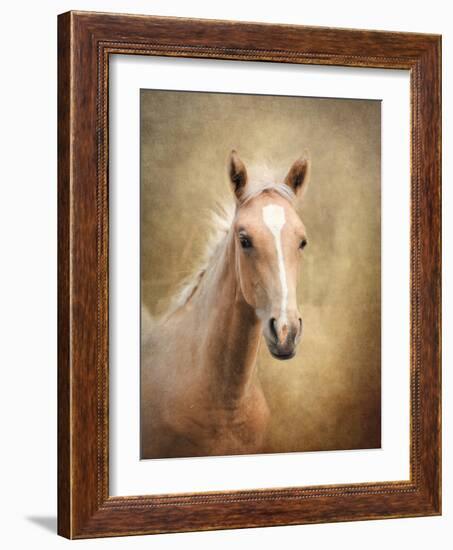 Golden Girl Palomino Horse-Jai Johnson-Framed Giclee Print