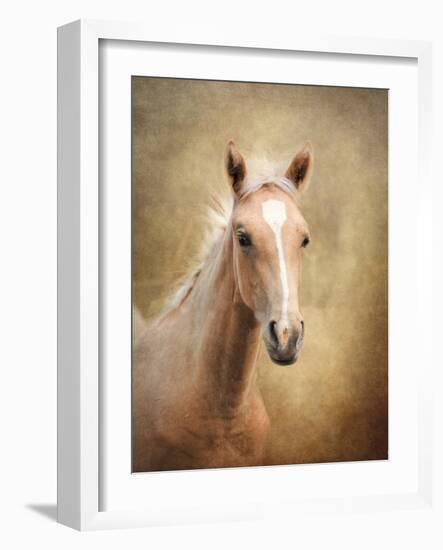 Golden Girl Palomino Horse-Jai Johnson-Framed Giclee Print