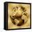 Golden Globe-Russell Brennan-Framed Stretched Canvas