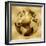 Golden Globe-Russell Brennan-Framed Art Print