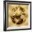 Golden Globe-Russell Brennan-Framed Art Print