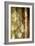 Golden Glow II-Sisa Jasper-Framed Art Print