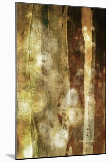 Golden Glow II-Sisa Jasper-Mounted Art Print