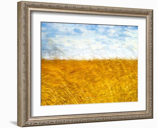 Golden Grass in the Wind-Robert Cattan-Framed Photographic Print