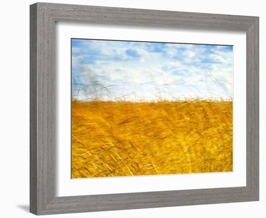 Golden Grass in the Wind-Robert Cattan-Framed Photographic Print