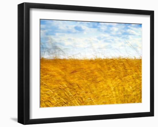 Golden Grass in the Wind-Robert Cattan-Framed Photographic Print