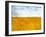 Golden Grass in the Wind-Robert Cattan-Framed Photographic Print