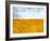 Golden Grass in the Wind-Robert Cattan-Framed Photographic Print