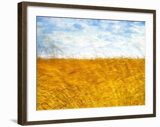 Golden Grass in the Wind-Robert Cattan-Framed Photographic Print