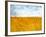 Golden Grass in the Wind-Robert Cattan-Framed Photographic Print