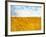 Golden Grass in the Wind-Robert Cattan-Framed Photographic Print