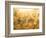 Golden Grass-null-Framed Photographic Print