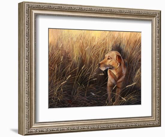 Golden Grass-Leo Stans-Framed Art Print