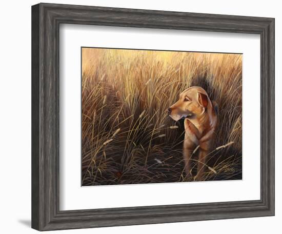 Golden Grass-Leo Stans-Framed Art Print