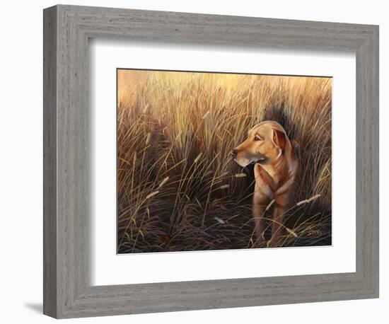 Golden Grass-Leo Stans-Framed Art Print