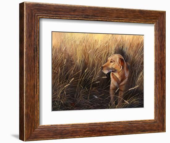 Golden Grass-Leo Stans-Framed Art Print