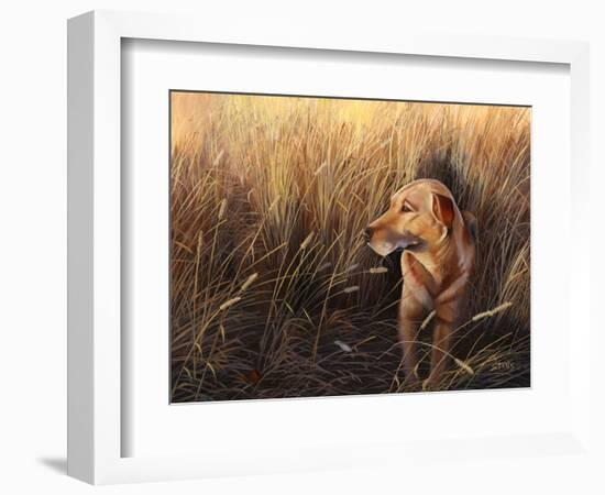 Golden Grass-Leo Stans-Framed Art Print