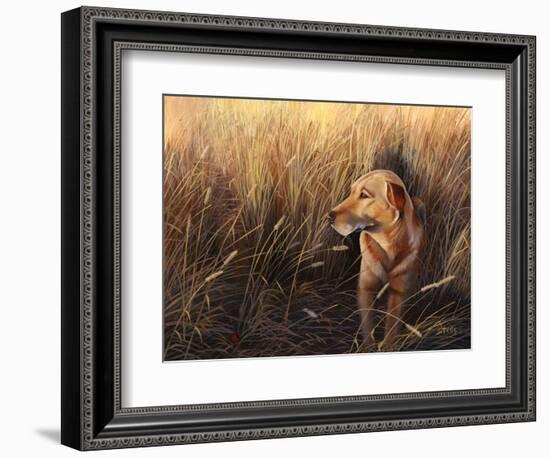 Golden Grass-Leo Stans-Framed Art Print