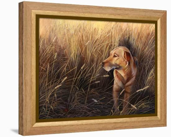 Golden Grass-Leo Stans-Framed Stretched Canvas