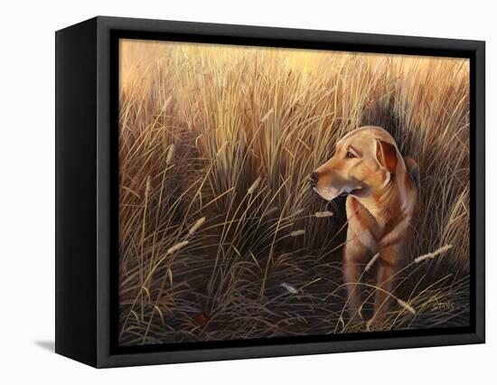 Golden Grass-Leo Stans-Framed Stretched Canvas