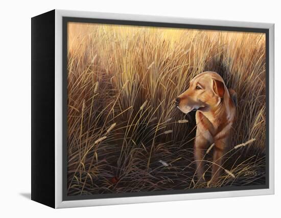 Golden Grass-Leo Stans-Framed Stretched Canvas