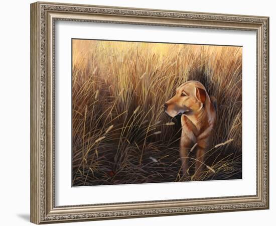 Golden Grass-Leo Stans-Framed Art Print