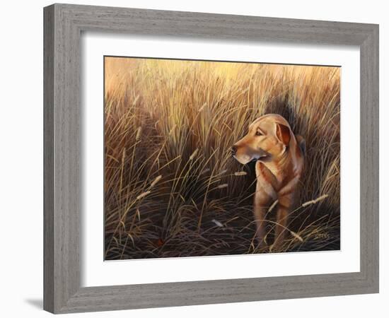 Golden Grass-Leo Stans-Framed Art Print