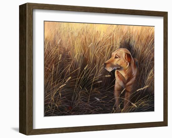 Golden Grass-Leo Stans-Framed Art Print