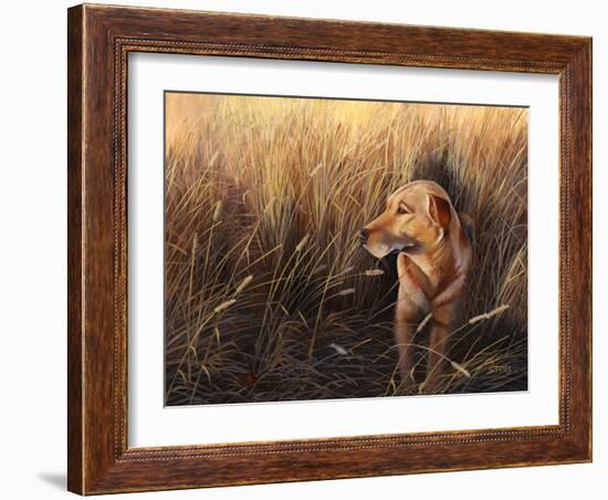 Golden Grass-Leo Stans-Framed Art Print