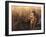 Golden Grass-Leo Stans-Framed Art Print