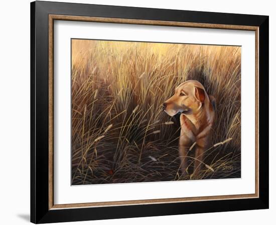 Golden Grass-Leo Stans-Framed Art Print