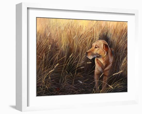 Golden Grass-Leo Stans-Framed Art Print