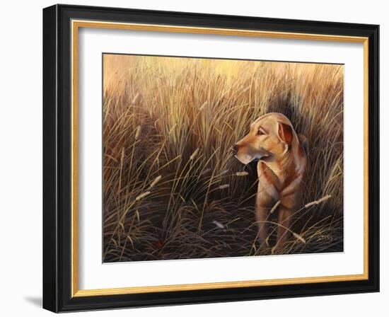 Golden Grass-Leo Stans-Framed Art Print