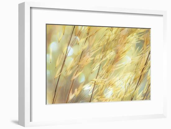 Golden Grasses-Don Paulson-Framed Giclee Print