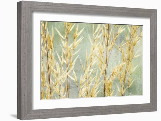 Golden Grasses-Kathy Mahan-Framed Photographic Print