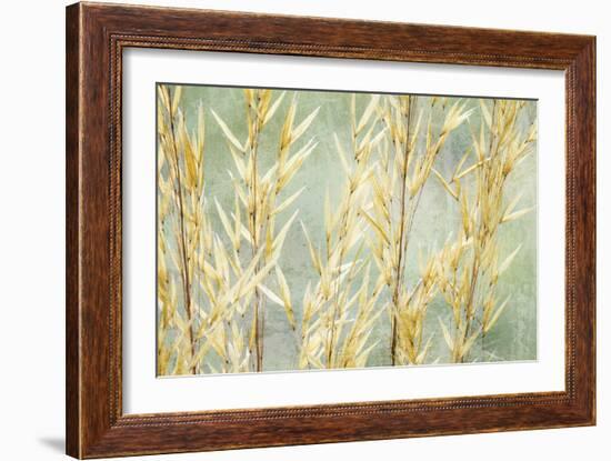 Golden Grasses-Kathy Mahan-Framed Photographic Print