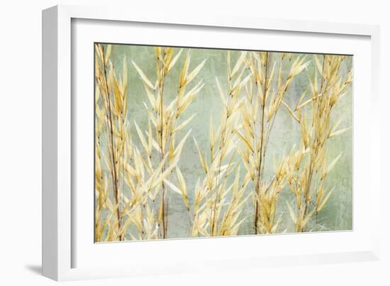 Golden Grasses-Kathy Mahan-Framed Photographic Print