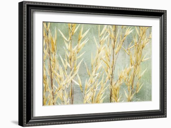 Golden Grasses-Kathy Mahan-Framed Photographic Print