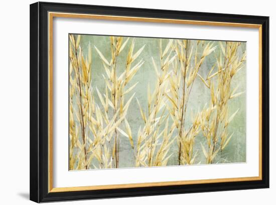 Golden Grasses-Kathy Mahan-Framed Photographic Print