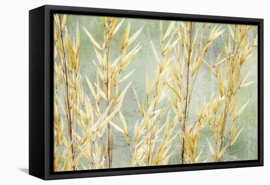 Golden Grasses-Kathy Mahan-Framed Premier Image Canvas