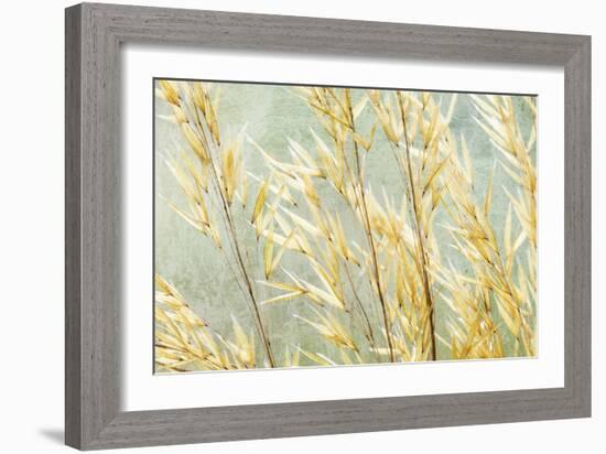 Golden Grasses-Kathy Mahan-Framed Photographic Print