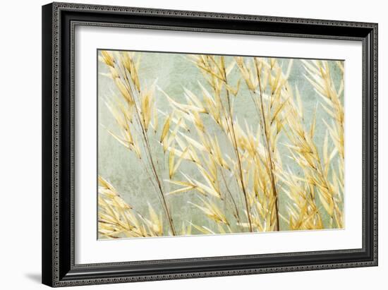 Golden Grasses-Kathy Mahan-Framed Photographic Print