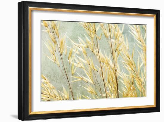 Golden Grasses-Kathy Mahan-Framed Photographic Print