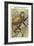 Golden Guenon Monkey-null-Framed Art Print