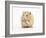 Golden Hamster Washing Itself-Mark Taylor-Framed Photographic Print