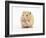 Golden Hamster Washing Itself-Mark Taylor-Framed Photographic Print