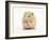 Golden Hamster Washing Itself-Mark Taylor-Framed Photographic Print