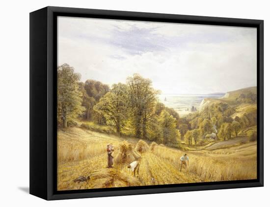 Golden Harvest on the South Coast-Alfred Augustus Glendenning-Framed Premier Image Canvas