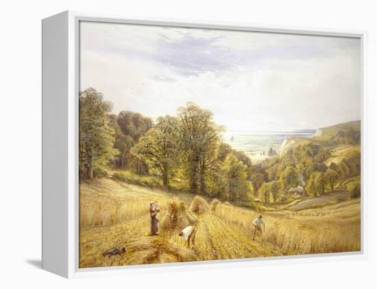 Golden Harvest on the South Coast-Alfred Augustus Glendenning-Framed Premier Image Canvas